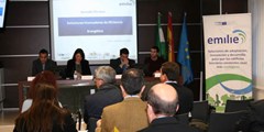 1er TW-SME Sevilla